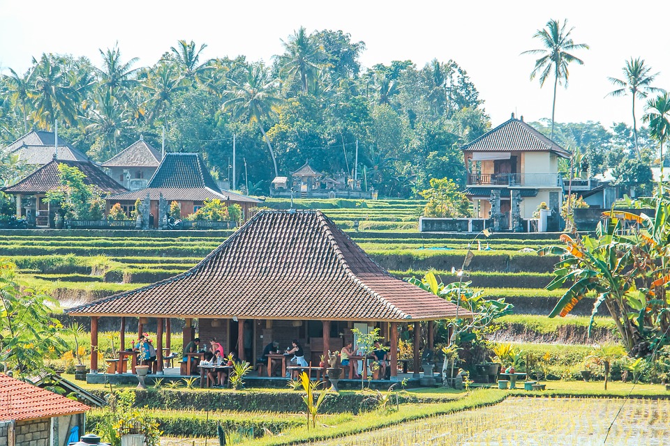 bali traveling,bali tour,bali trip,bali view